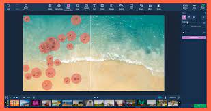 Movavi Photo Editor pour Mac 5 Key (Lifetime / 1 Mac)