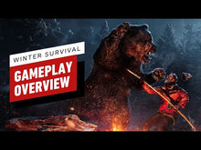 Survivance hivernale Compte Epic Games