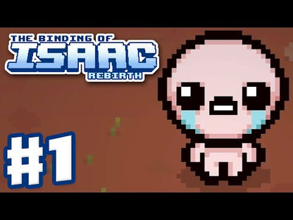 The Binding of Isaac : Rebirth Steam CD Key