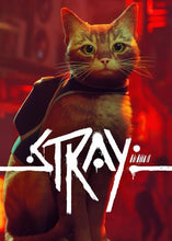 Stray Global Steam CD Key