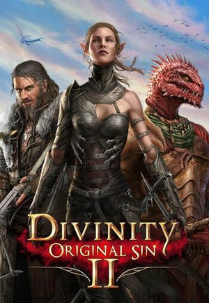 Divinity : Original Sin 2 Divine Ascension Global GOG CD Key
